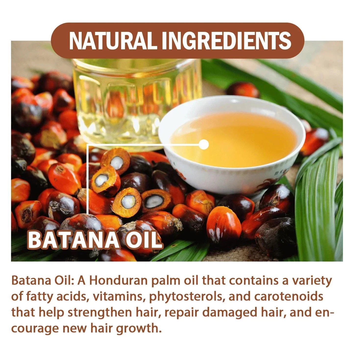 Batana Hair Growth Oil – Nourishing, Strengthening &amp; Anti-Hair Loss Treatment